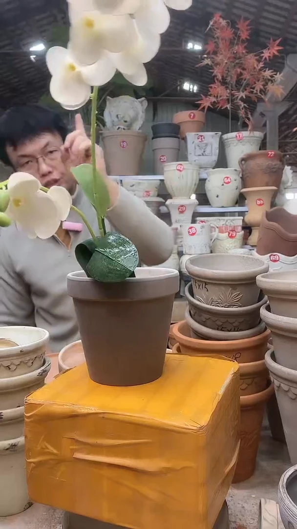 【闪购商品】缸1个15*14/灰/陶国际盆无托