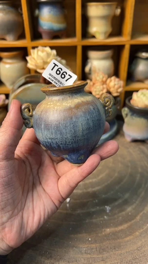 667 内口3【多肉花盆多肉盆】