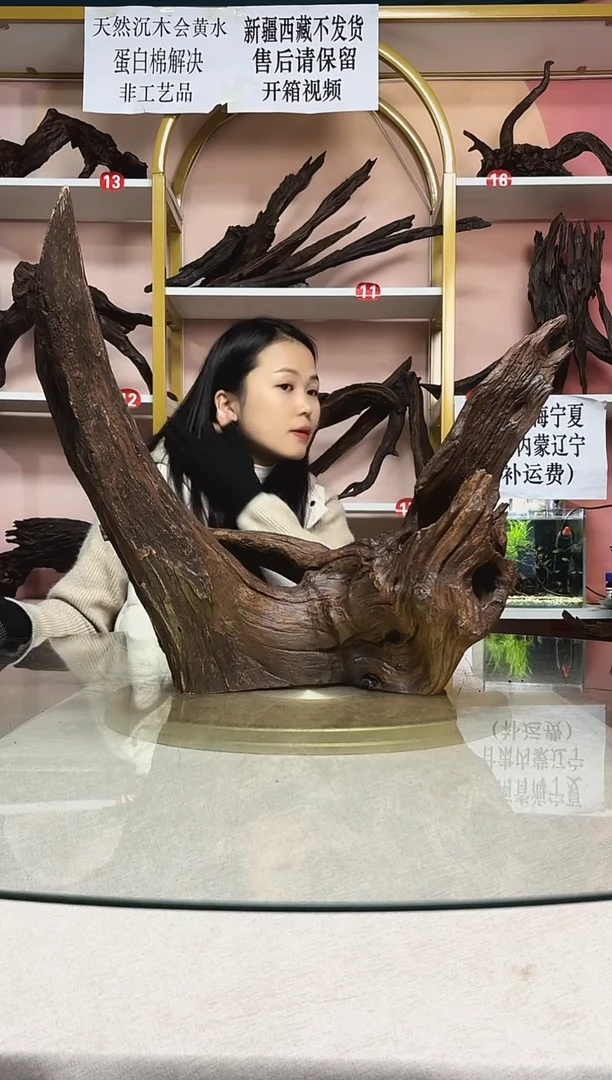 ?****?鱼缸造景沉木A035