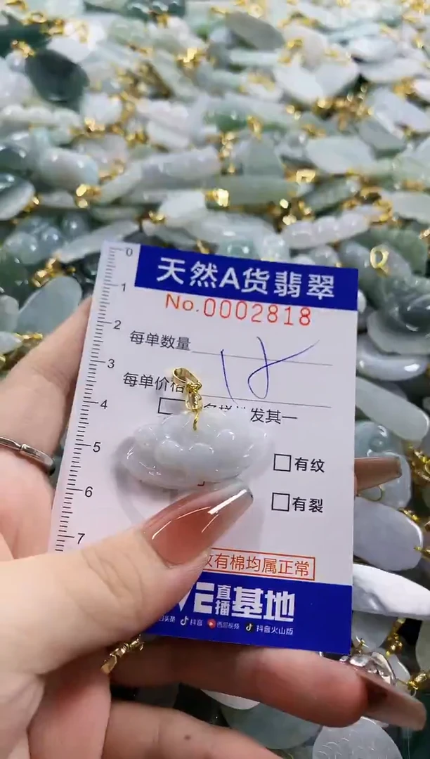 颈饰未镶嵌翡翠天然A货翡翠