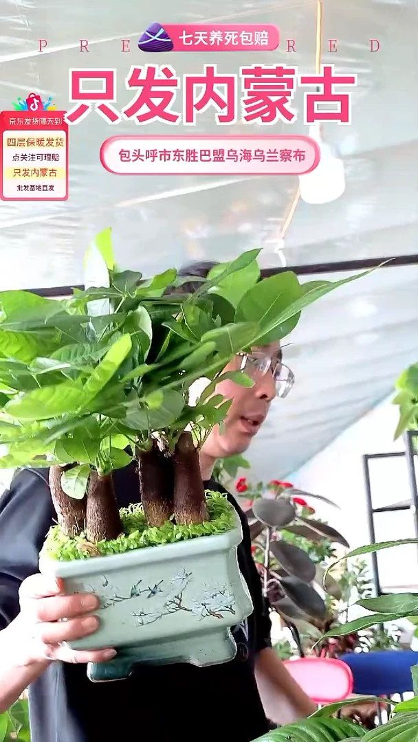 完全开放陶瓷盆发财