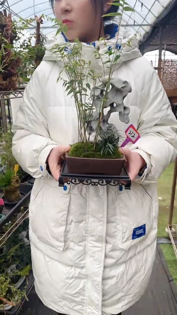 【闪购商品】212