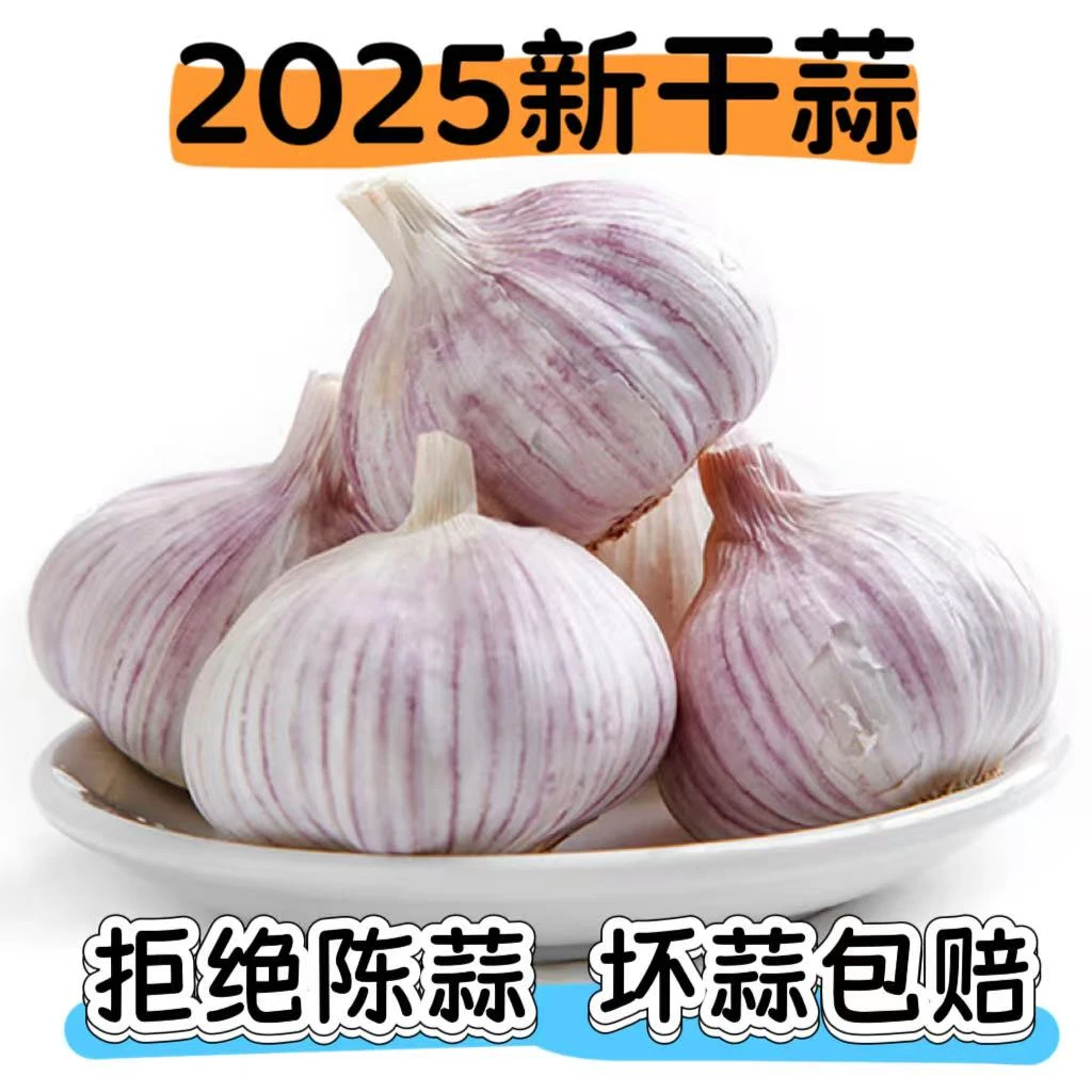 【2025新干蒜】正宗紫白皮大蒜新鲜大蒜头辛辣好吃可生吃