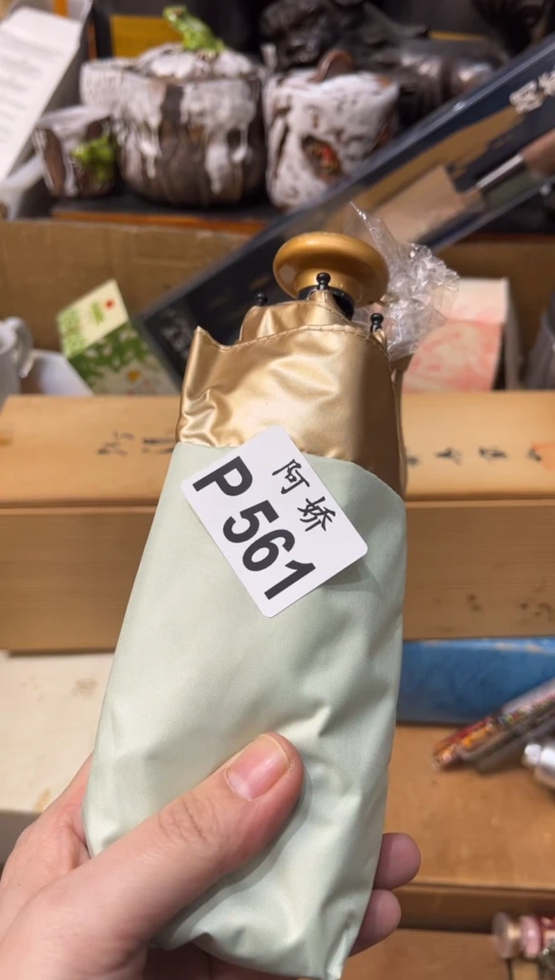 【闪购商品】瓷片561v 锅包红烧肉 锅包红烧肉