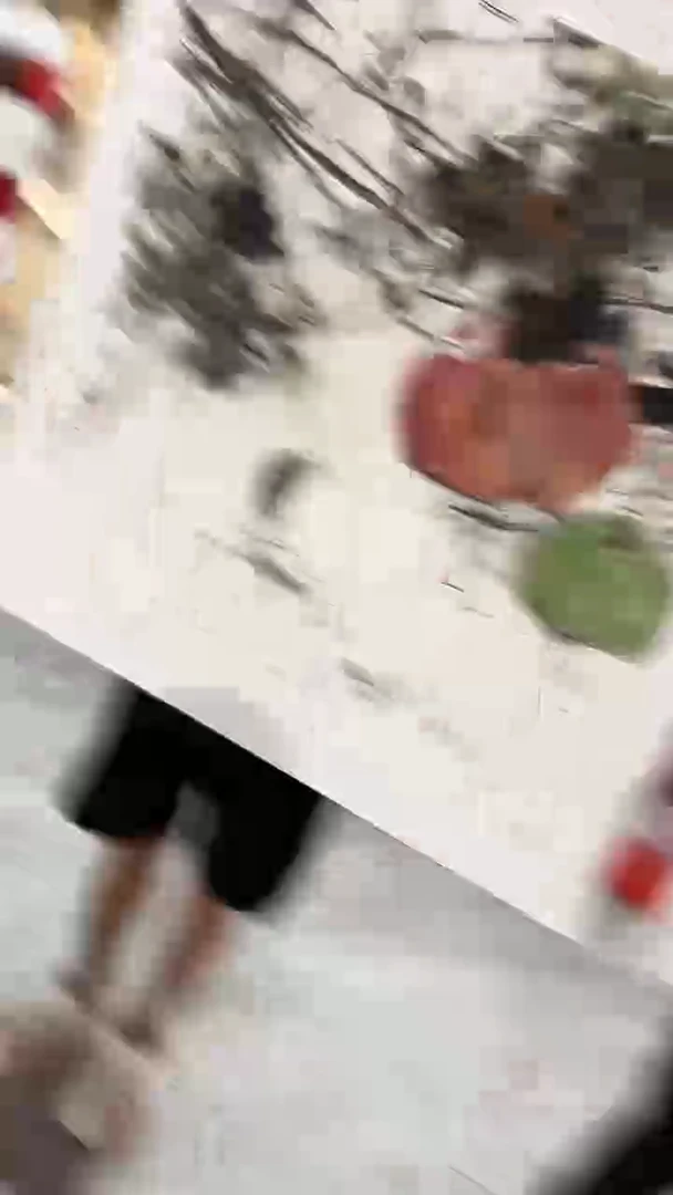 国画史龙-绘画作品-38