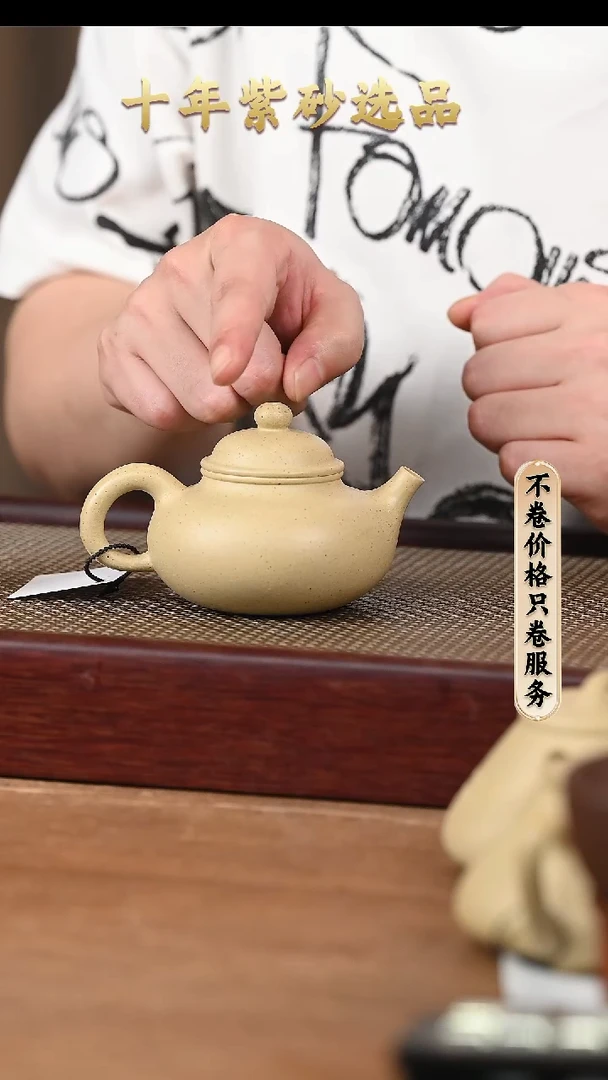 茶壶紫砂AH16915陈小平 容天