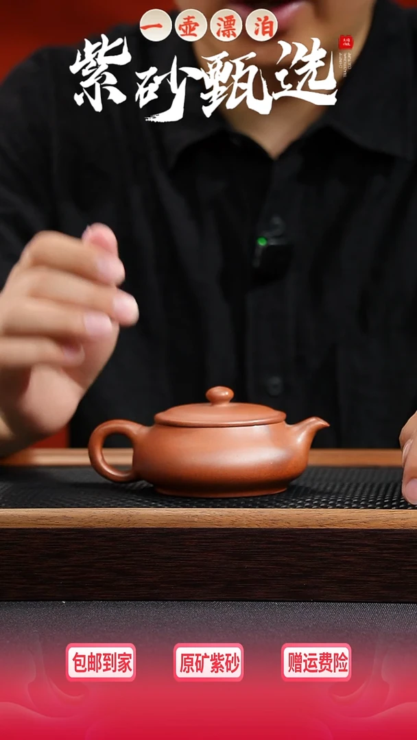 茶壶紫砂 一壶漂泊紫砂茶器1111