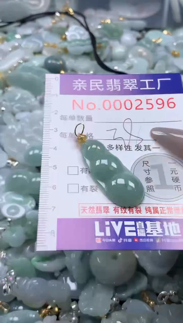 颈饰未镶嵌翡翠2596
