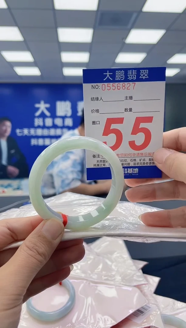 未镶嵌手镯翡翠AAAAAAAAAA