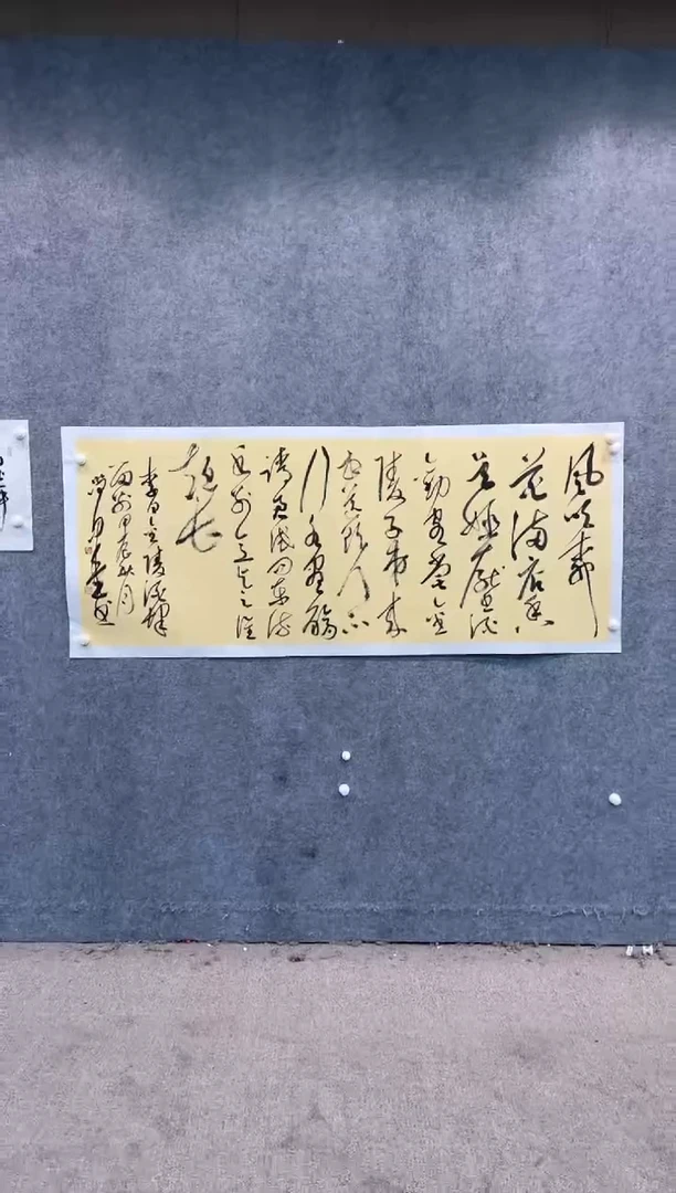 【闪购商品】书法pmw不二轩旗舰店国画SM17
