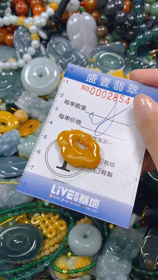 颈饰未镶嵌翡翠闪购0002854