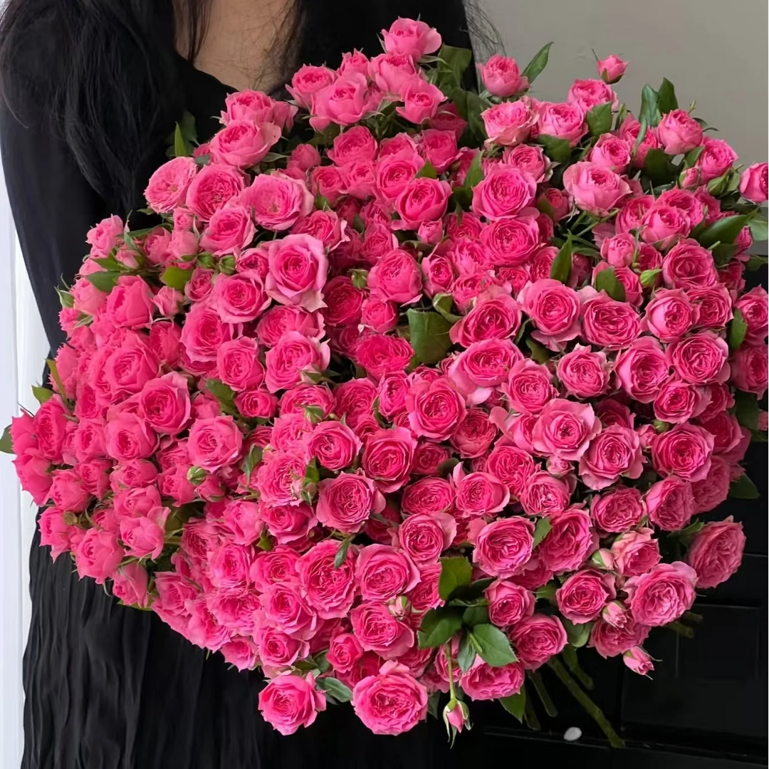 【苏菲宝贝】云南基地鲜花新鲜高品质鲜花手捧花束玫瑰两单送配草