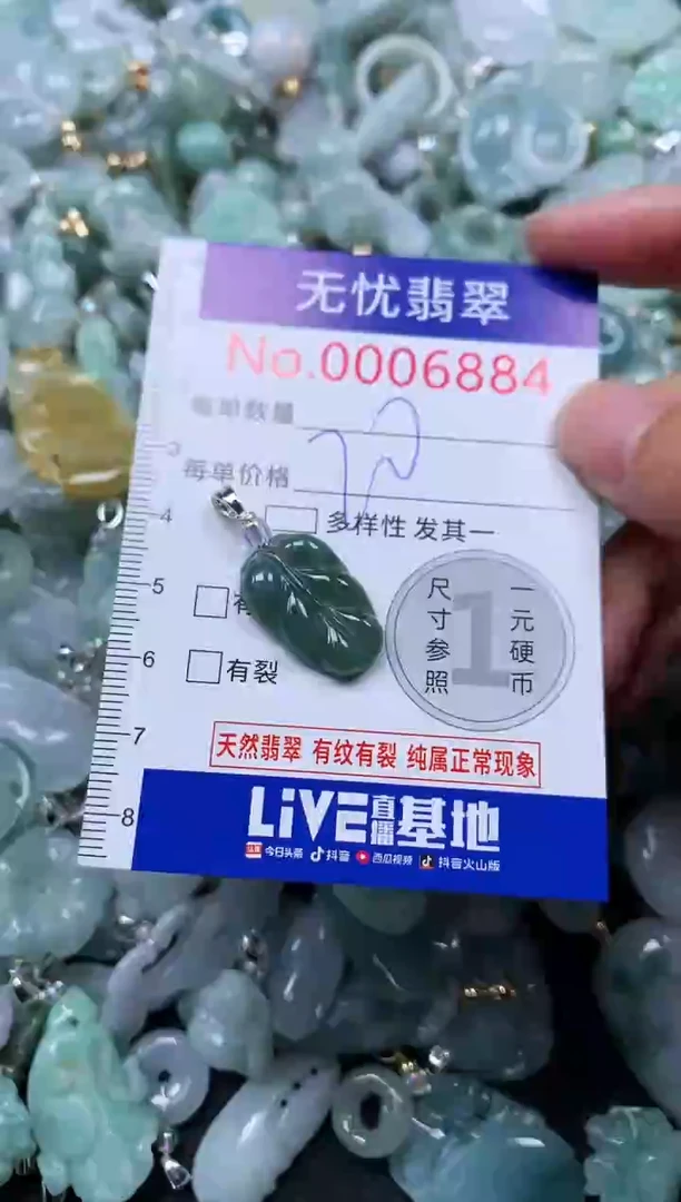 颈饰未镶嵌翡翠6884
