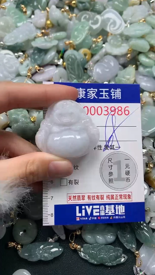 颈饰未镶嵌翡翠3986