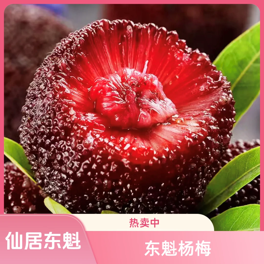 【仙居东魁8A】新鲜现摘杨梅礼盒包装冷链空运整箱2.5.-5.2斤