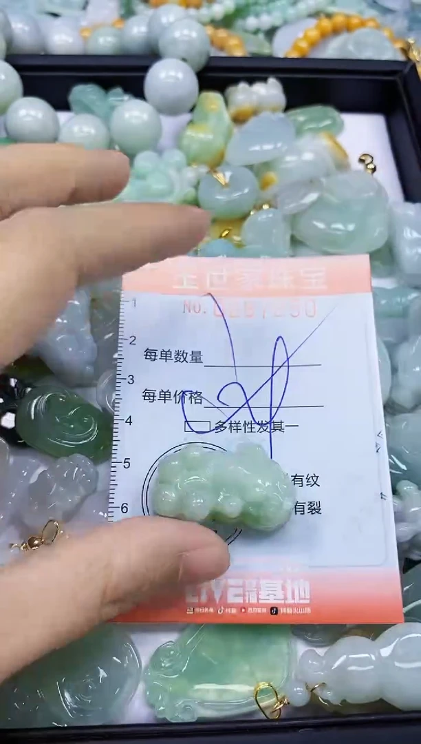 翡翠未镶嵌颈饰闪购0287250多样性发其一