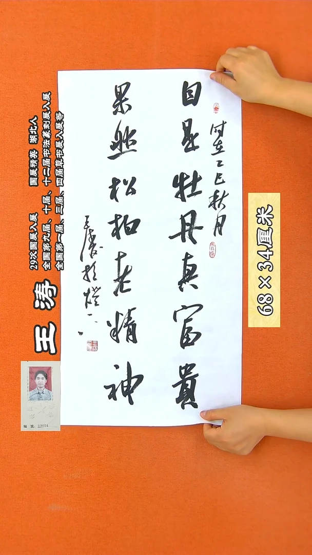 书法27R王涛书法作品