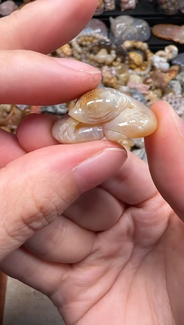 硅化珊瑚（珊瑚玉）未镶嵌颈饰630