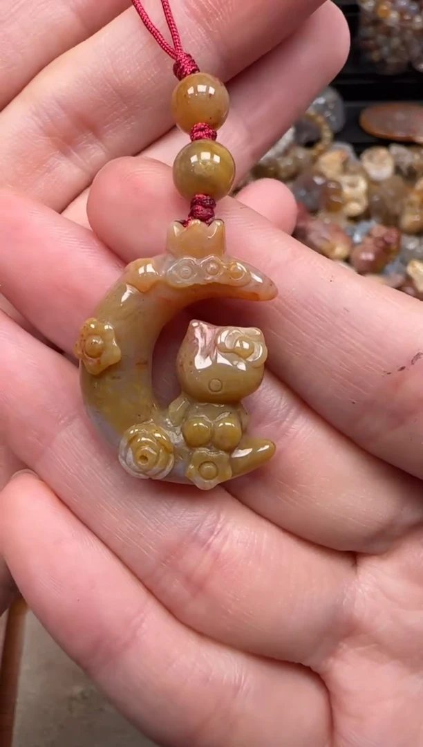 硅化珊瑚（珊瑚玉）未镶嵌颈饰576