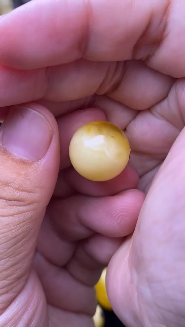 裸石琥珀未镶嵌 大小姐珠宝严选10