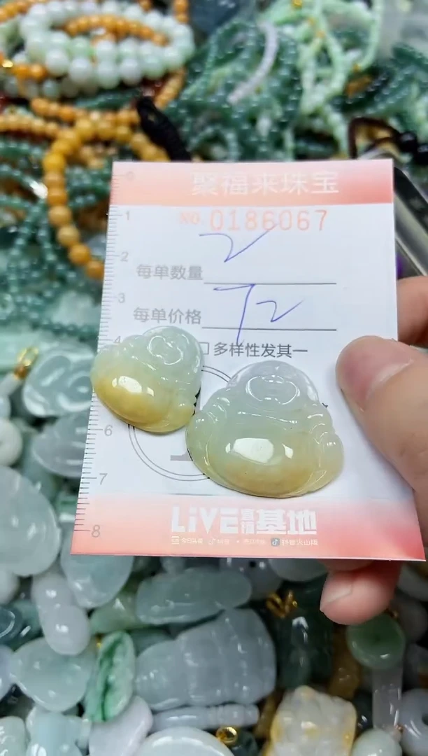 翡翠未镶嵌颈饰闪购0186067