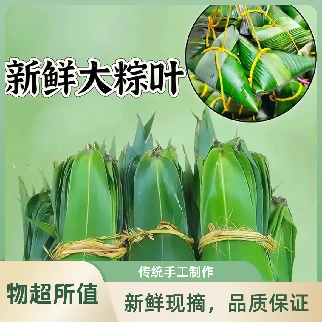 新鲜粽叶包粽子专用柔韧大叶端午节家用大号粽子叶真空包装