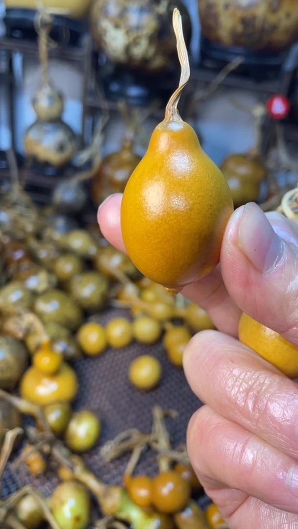 【闪购商品】葫芦葫芦葫芦葫芦葫芦