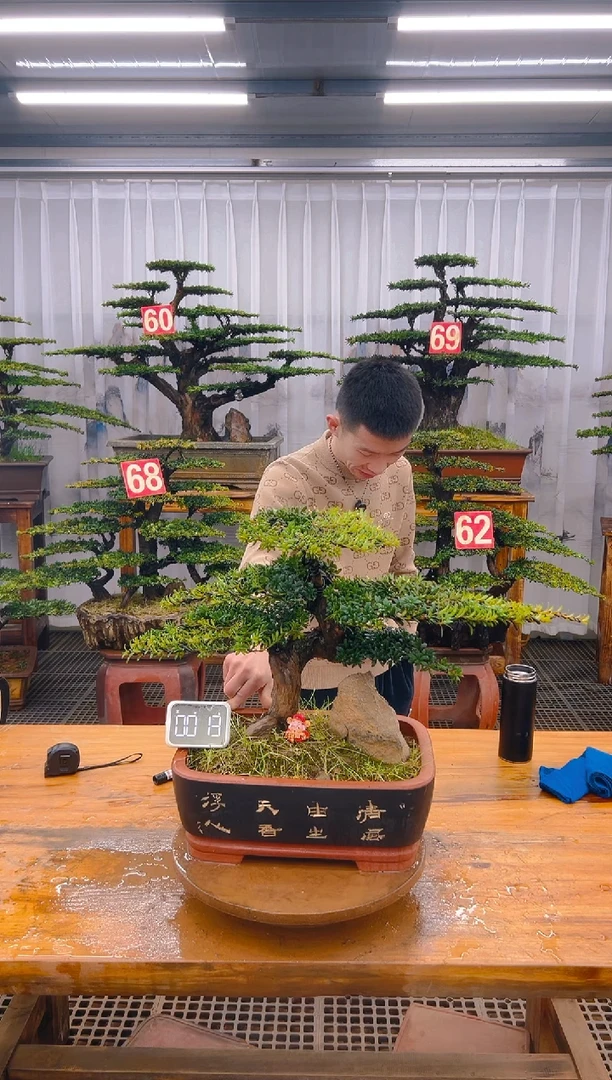 【闪购商品】紫砂精品盆景直播间一物一拍