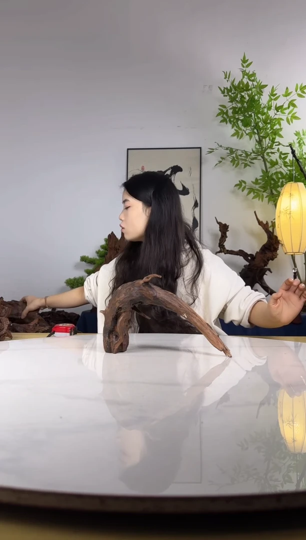 一**元拍沉木定向链接编号24