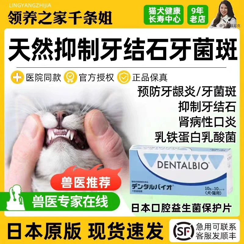 领养之家 日本共立制药口腔除菌片宠物猫狗牙龈炎牙结石牙菌斑口