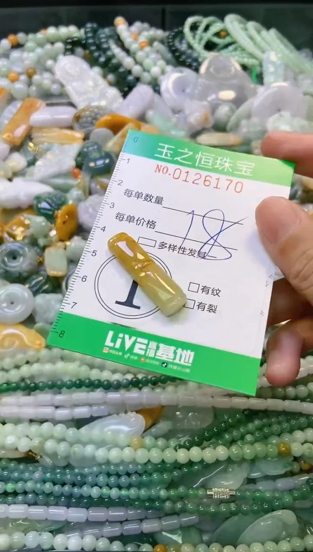 翡翠未镶嵌颈饰闪购0126170