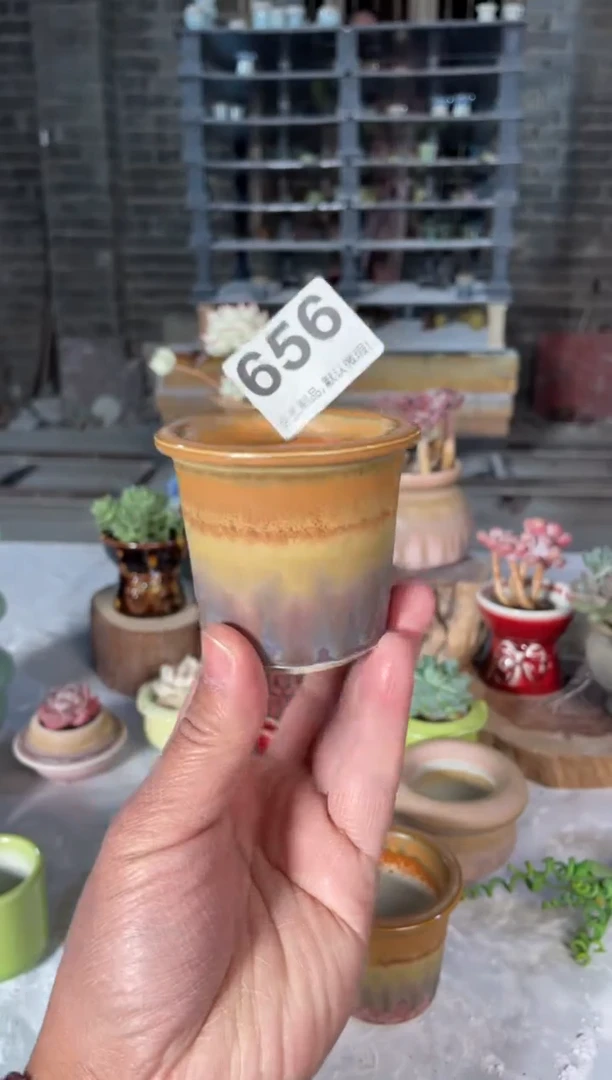 瓷片656小芳直播编号