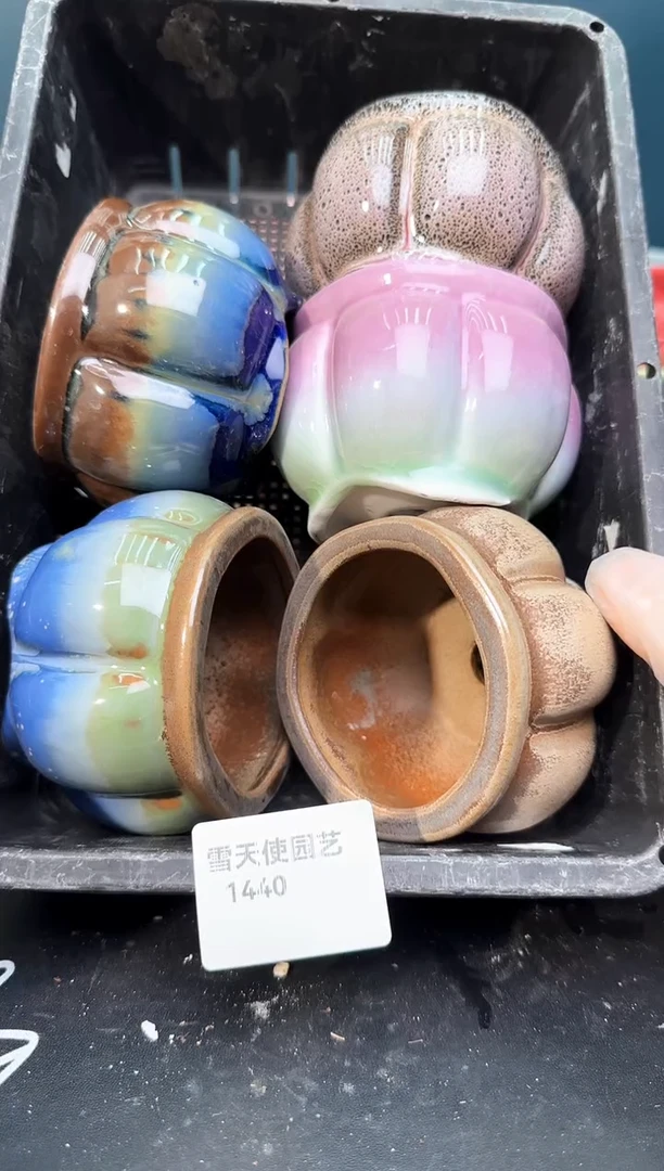 14 40 小南瓜盆 5 个默认微瑕