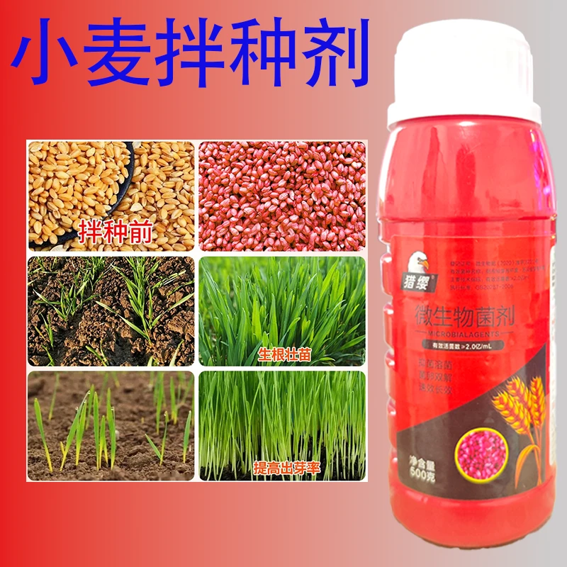 小麦拌种剂新升级生物拌种生根壮苗苗齐苗壮提质增产包衣剂