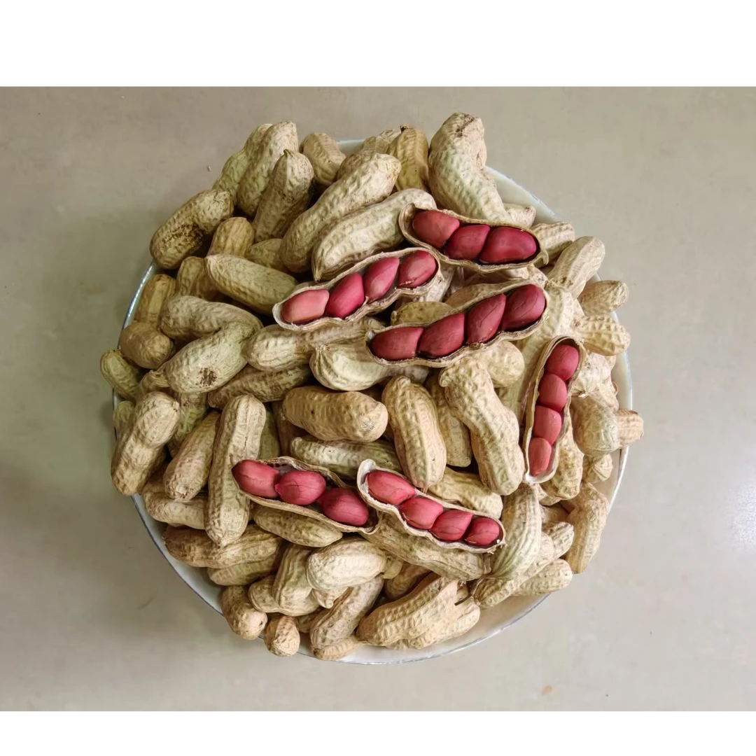 红心花生（多子饱满）（生）