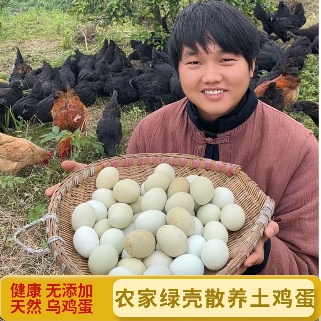 农家散养 绿壳土鸡蛋 正宗自家原产地发货