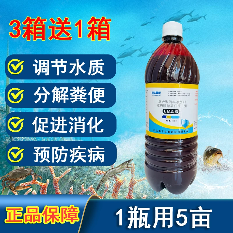 【em原露】水产养殖净水预防底臭液体益生菌EM6原露鱼虾