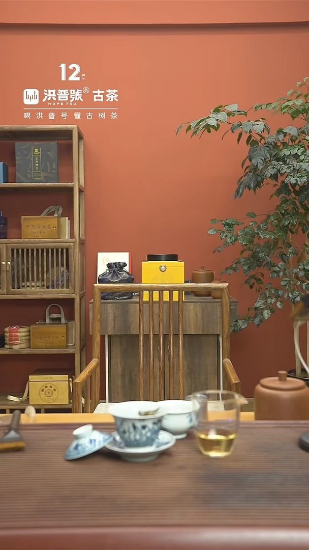 【闪购商品】24年头春执着倚邦猫耳朵生茶龙珠3颗