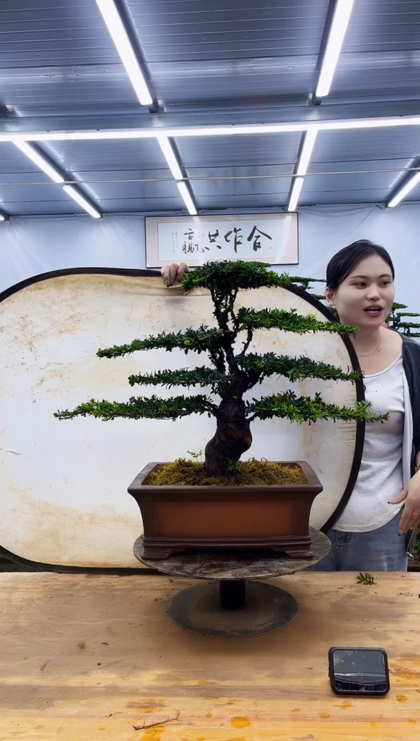 无花朵一物一拍，所见即所得