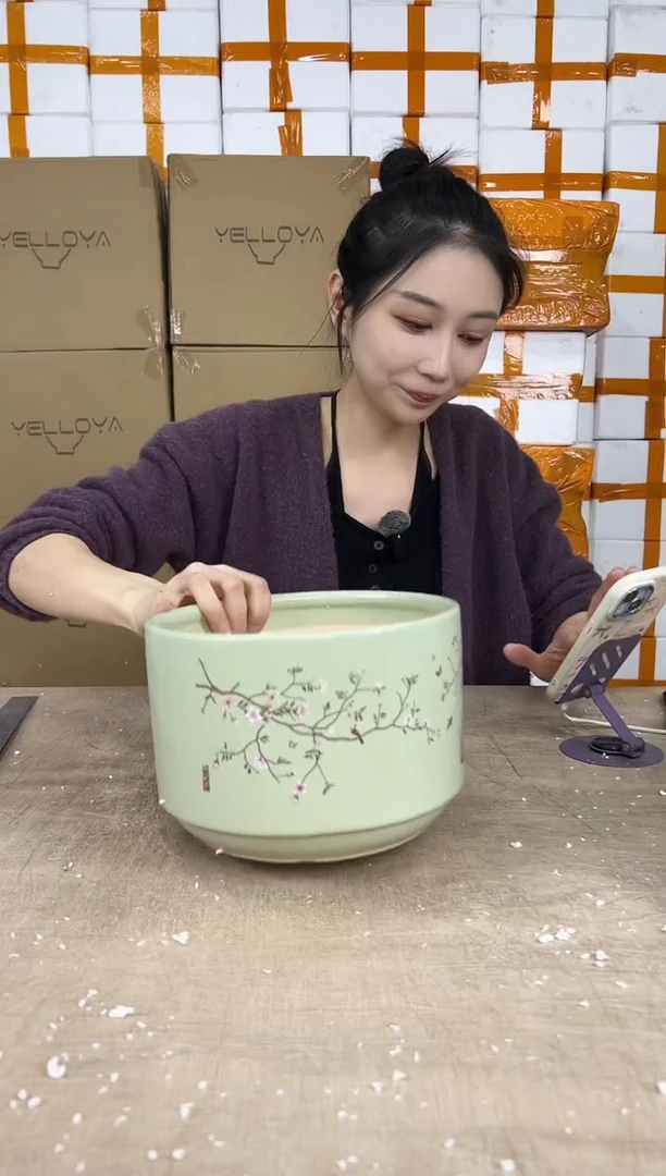 蝴蝶兰鸟笼绿色中号21x15