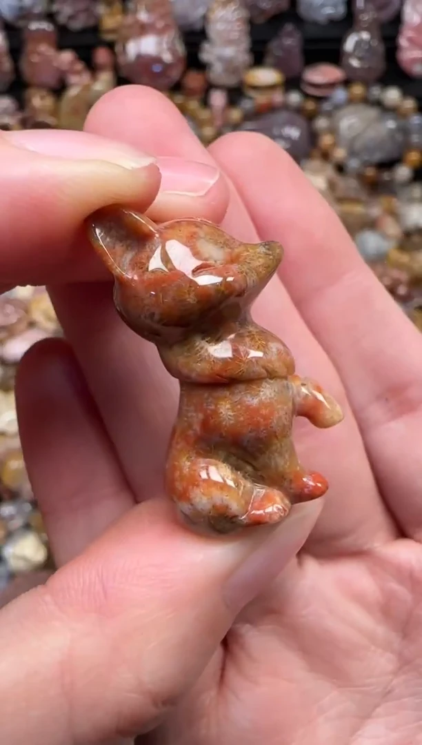 颈饰未镶嵌硅化珊瑚（珊瑚玉）601