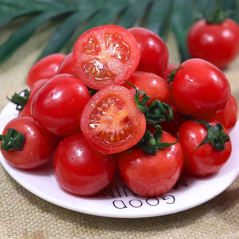 盒装春沐源皇珈串茄子（红串）约150g