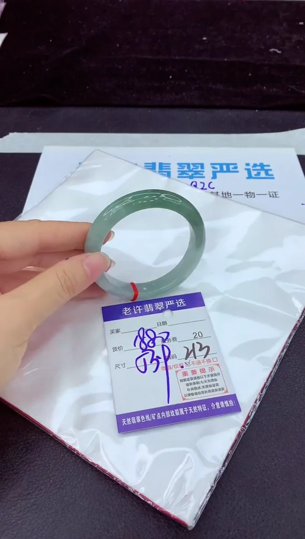 未镶嵌手镯翡翠11111