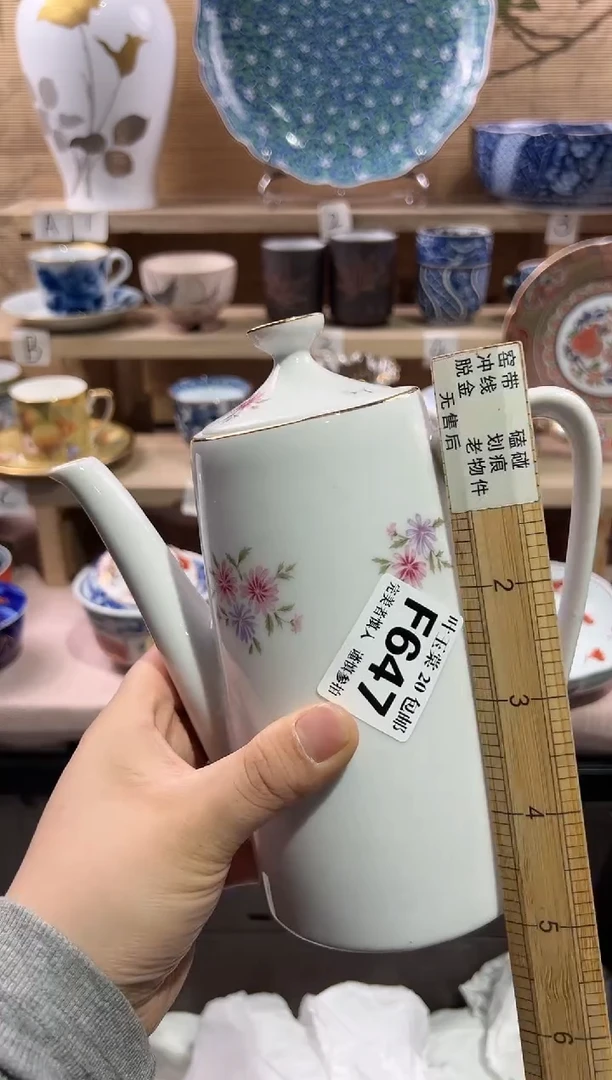 瓷片              F647
