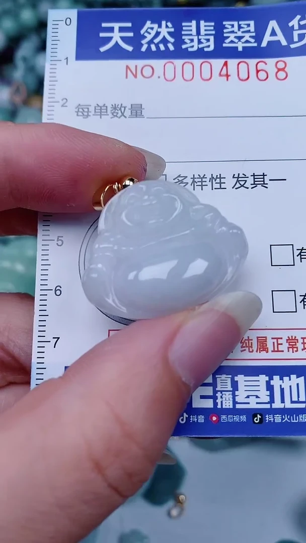 翡翠未镶嵌颈饰00004068