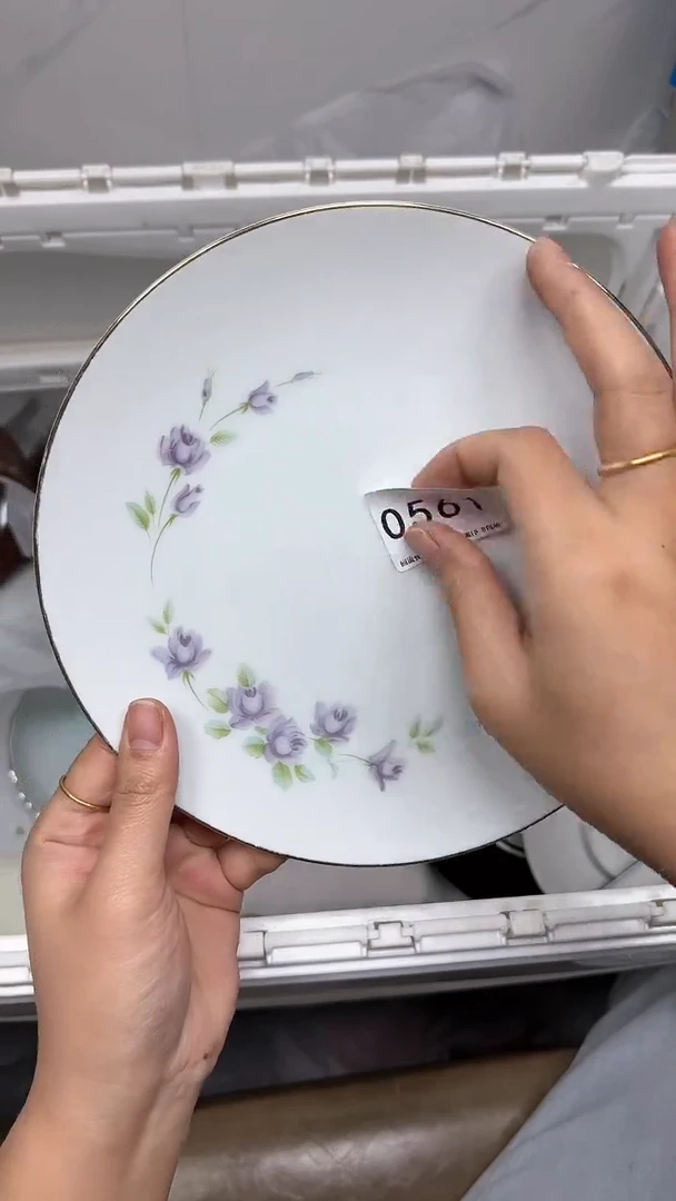 【闪购商品】561回流瓷器默认微瑕，18.8包邮