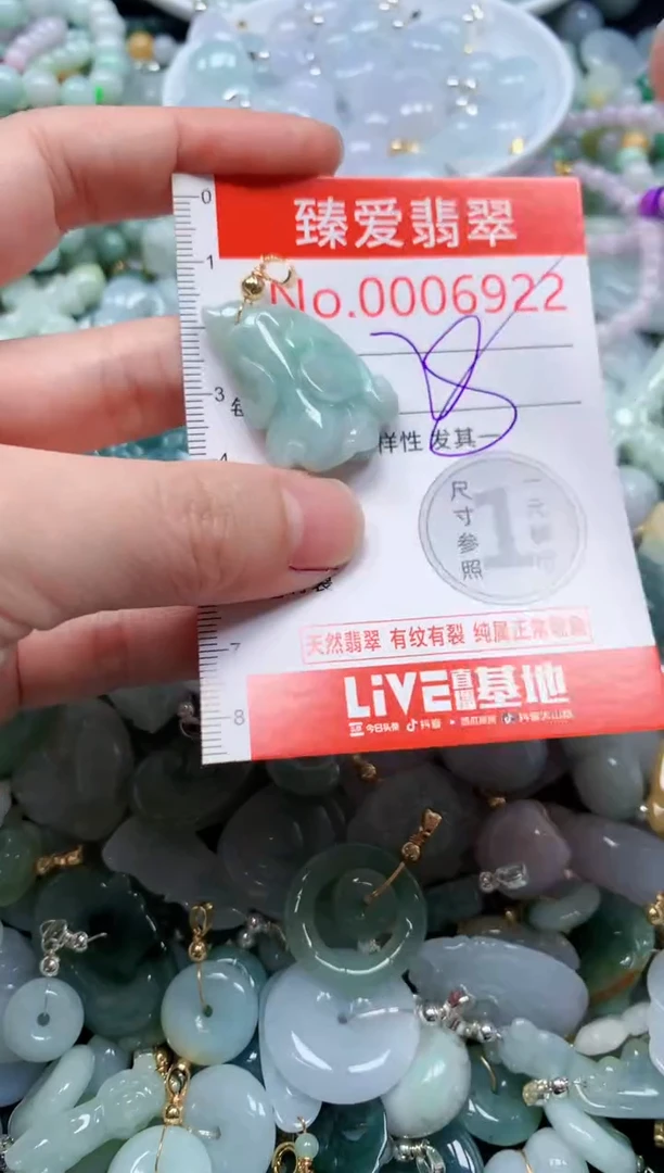 翡翠未镶嵌吊坠(不含链)6922