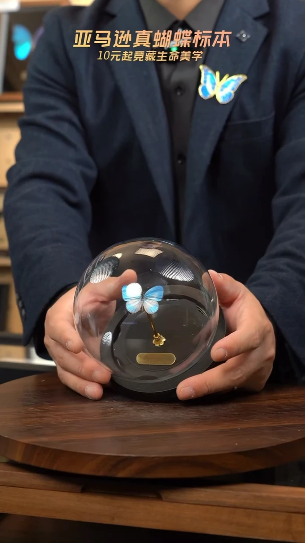 天空蓝优雅灰蝶玻璃球款