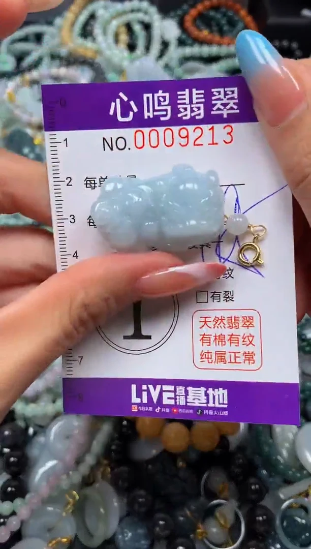 翡翠未镶嵌颈饰闪购009213