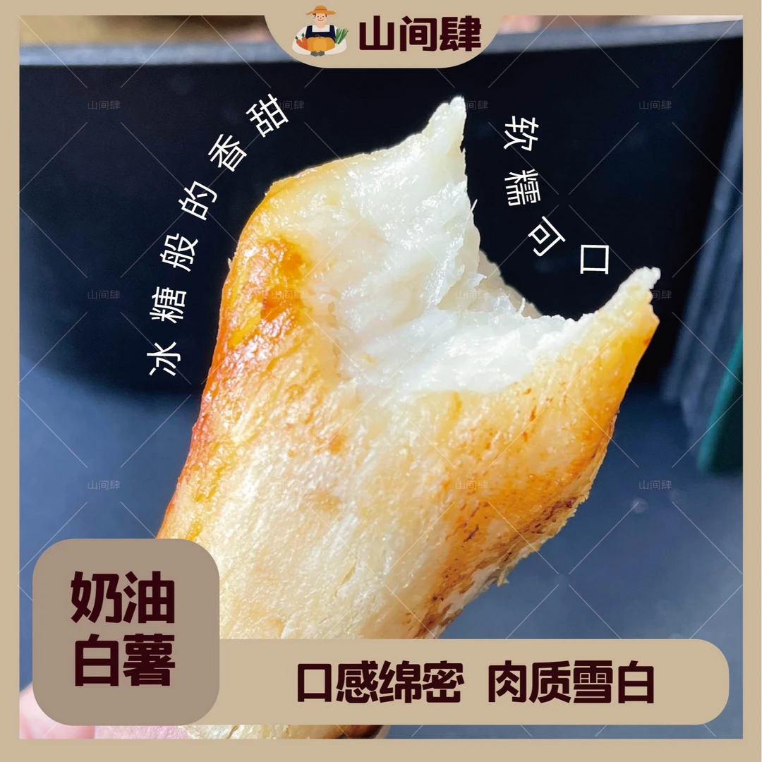 山间肆哈密白薯奶油哈密粉面清甜冰糖桂花香冰糖心白薯健康粗粮